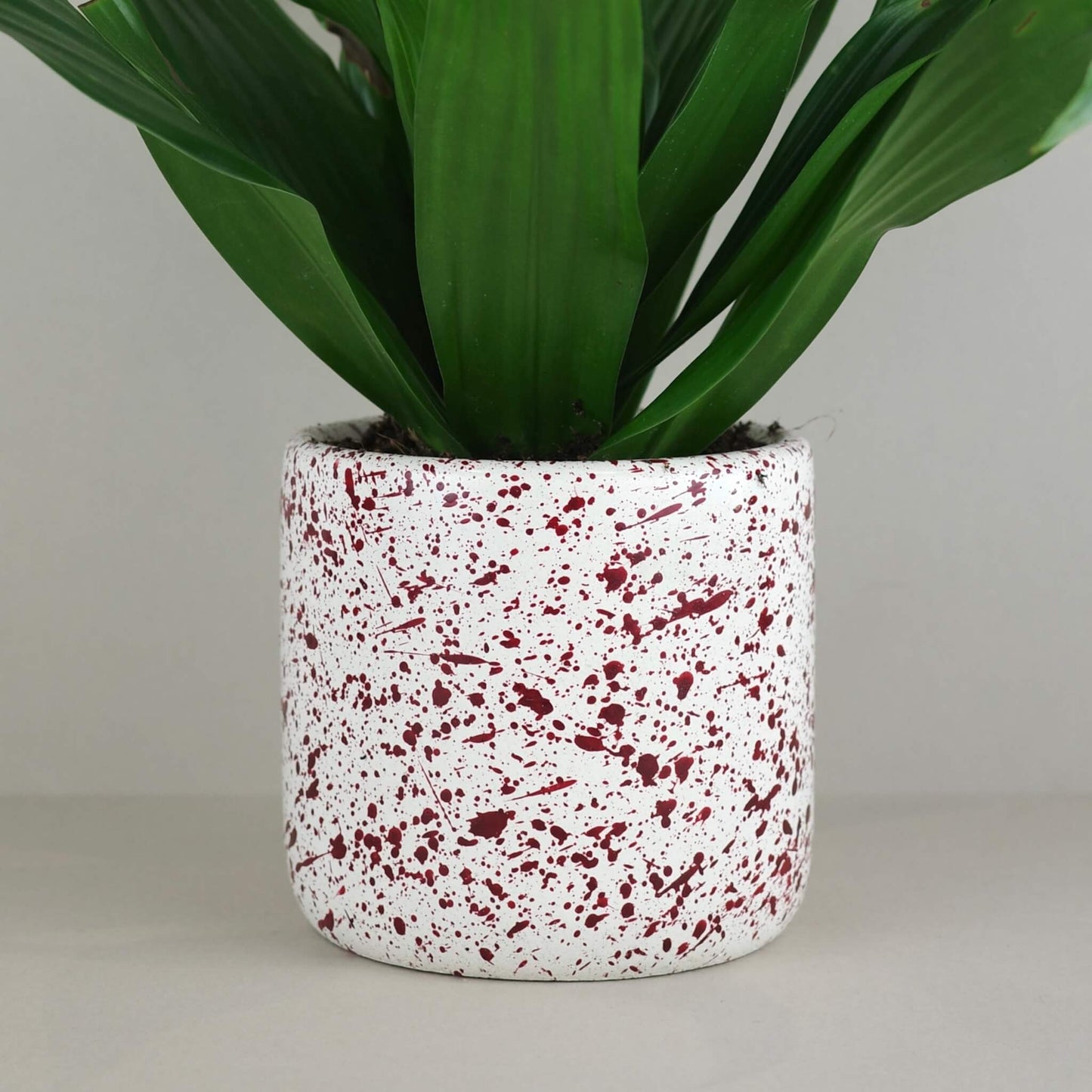 Burgundy paint splattered on a cream concrete cylinder plant pot